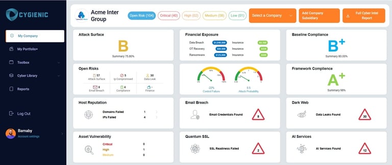 Dashboard showing Acme Group financial metrics with performance gauges, revenue comparison charts, and framework data visualization