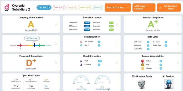 Cyphenic Subsidiary 2 dashboard showing company metrics including attack surface, financial exposure, baseline compliance, host reputation, email credentials, domain vulnerabilities, and SSL quantum readiness